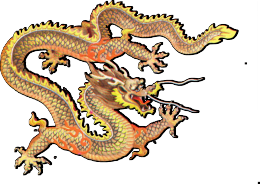 Left Dragon Graphic